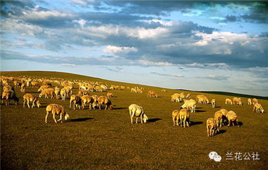 呼倫貝爾，不僅有最美的夏天，還有童話(huà)般的金秋——農(nóng)林牧漁的豐盈畫(huà)卷